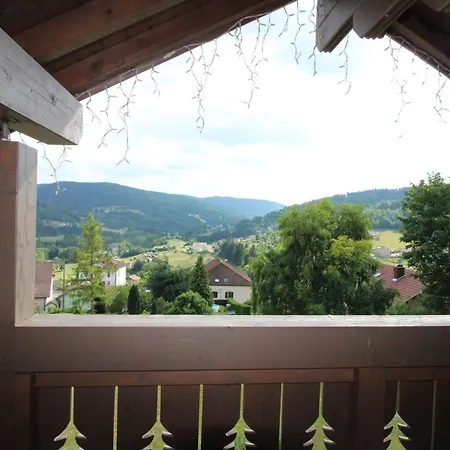Holiday home Confort Avec Terrasse Et Poele, Animaux Acceptes - Fr-1-589-233 Le Tholy